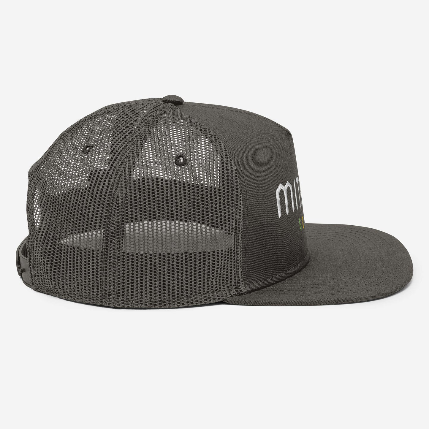 +3 Intelligence Hat
